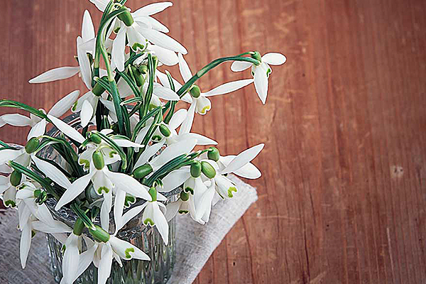 Enhance your Interiors with Fresh Flowers