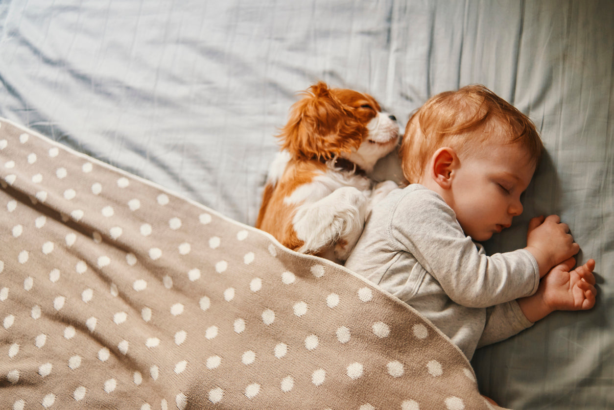 How to find your perfect mattress
