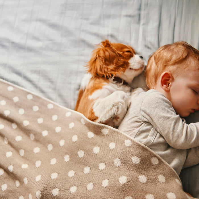 How to find your perfect mattress