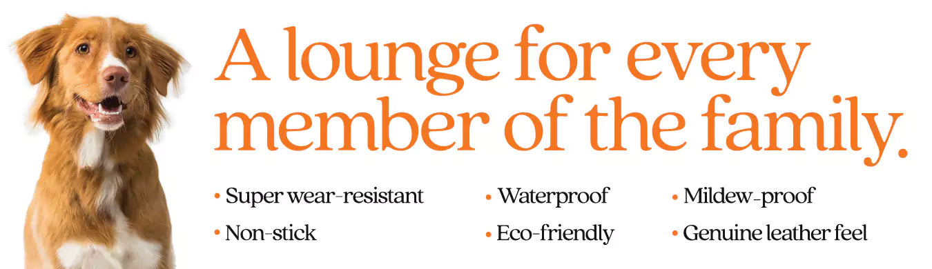 Pet Friendly Lounges