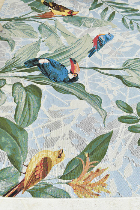 Paradise Birds