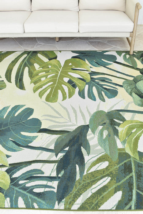 Paradise Tropics